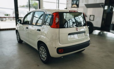 Fiat Pandina 1.0 firefly hybrid Icon s&s 65cv (6)