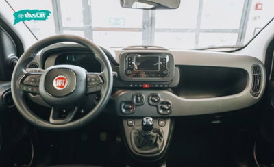 Fiat Pandina 1.0 firefly hybrid Icon s&s 65cv (7)