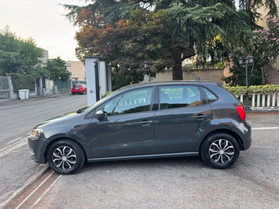 Volkswagen Polo 1.4 TDI 5p. Fresh (6)