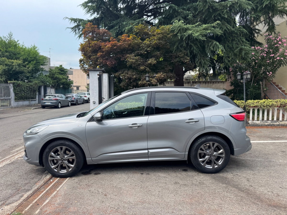 Ford Kuga 1.5 EcoBlue 120 CV 2WD ST-Line (11)