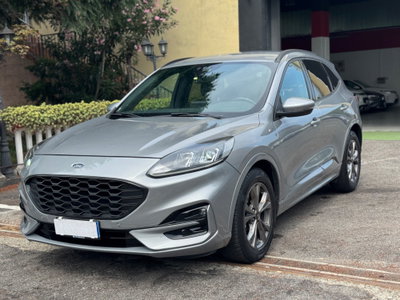 Ford Kuga 1.5 EcoBlue 120 CV 2WD ST-Line (12)