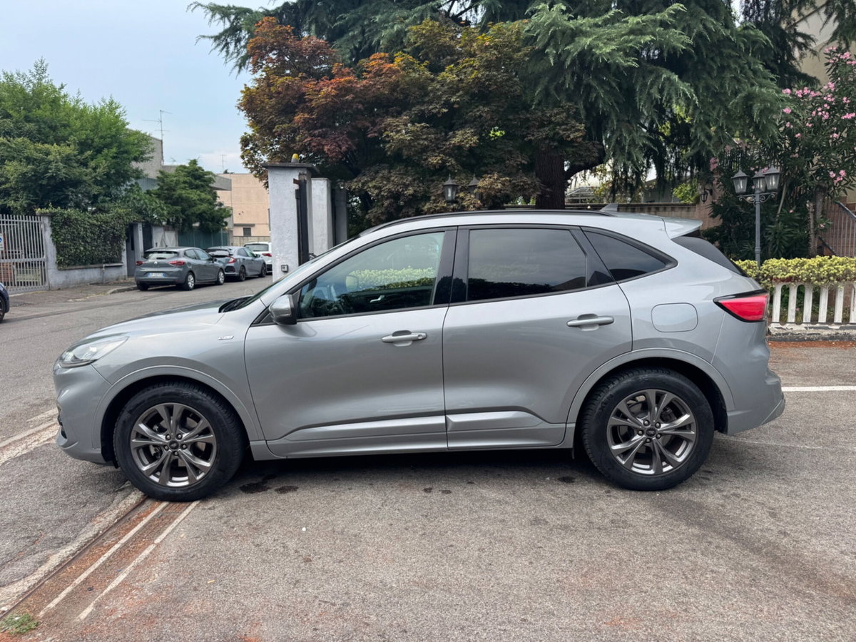 Ford Kuga 1.5 EcoBlue 120 CV 2WD ST-Line (6)