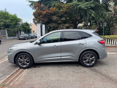 Ford Kuga 1.5 EcoBlue 120 CV 2WD ST-Line (6)