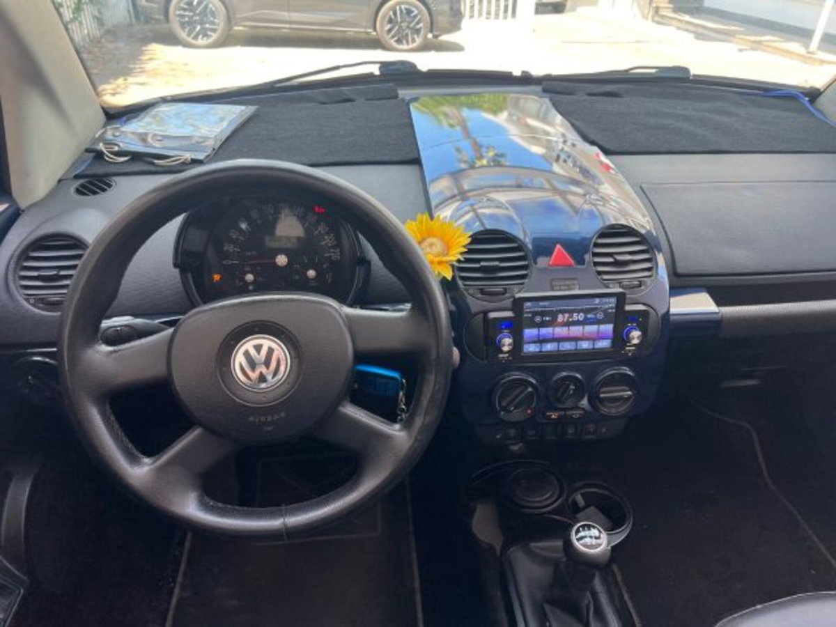 Volkswagen New Beetle Cabrio TDI 101CV (16)