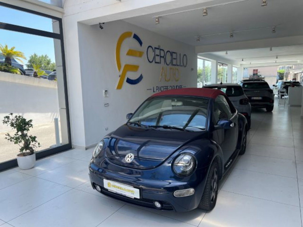 Volkswagen New Beetle Cabrio TDI 101CV (2)