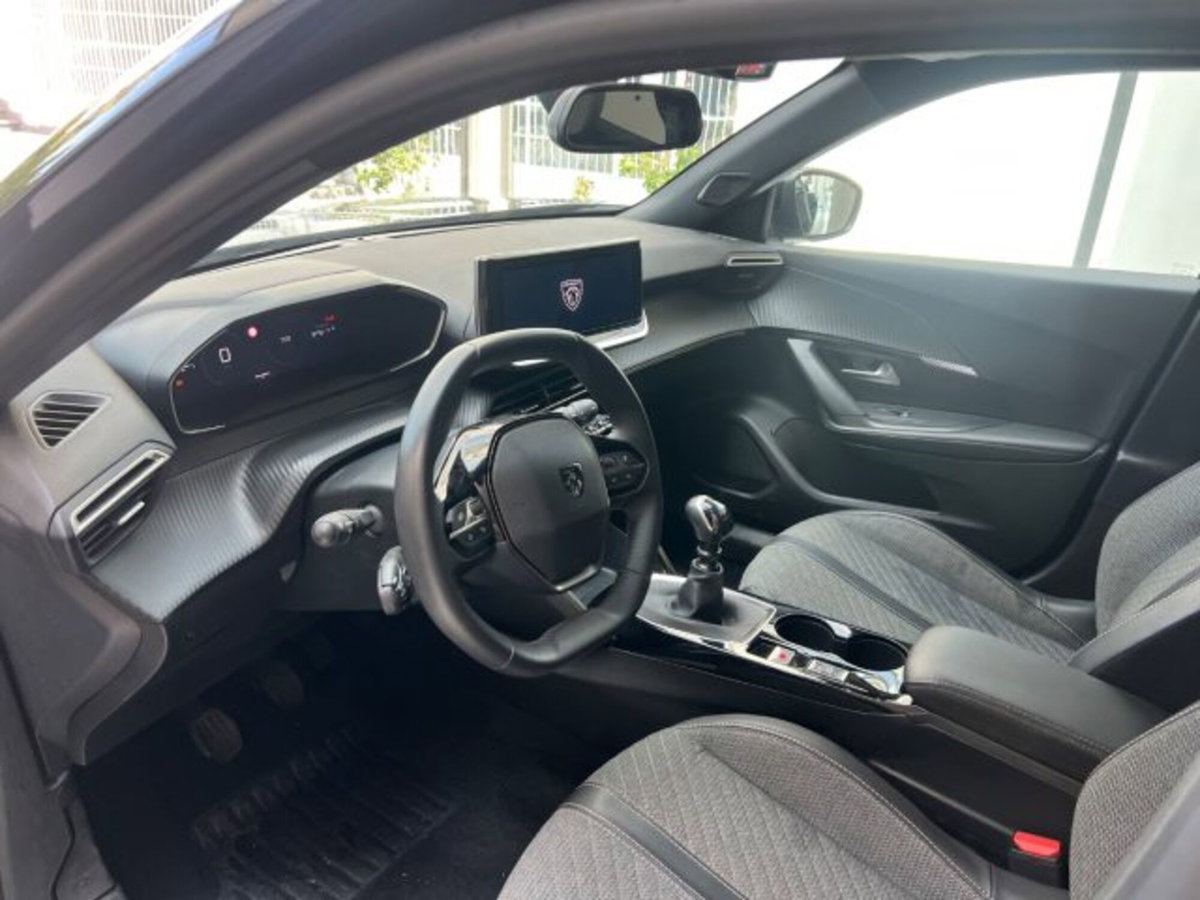 Peugeot 2008 PureTech 100 S&S Allure (20)