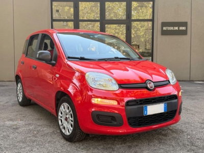Fiat Panda 1.2 Lounge usata