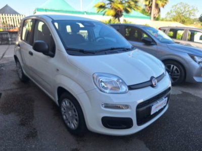 Fiat Pandina 1.0 firefly hybrid Icon s&s 65cv nuova