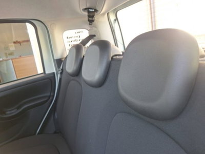 Fiat Pandina 1.0 firefly hybrid Icon s&s 65cv (12)