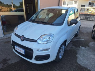 Fiat Pandina 1.0 firefly hybrid Icon s&s 65cv (2)