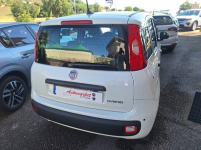Fiat Pandina 1.0 firefly hybrid Icon s&s 65cv (3)
