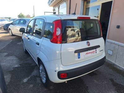 Fiat Pandina 1.0 firefly hybrid Icon s&s 65cv (4)