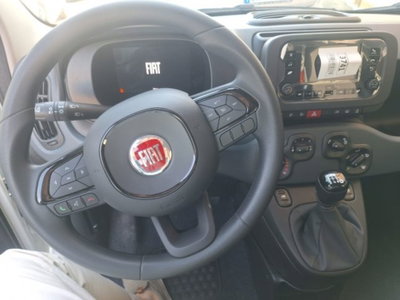 Fiat Pandina 1.0 firefly hybrid Icon s&s 65cv (6)