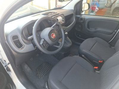 Fiat Pandina 1.0 firefly hybrid Icon s&s 65cv (7)