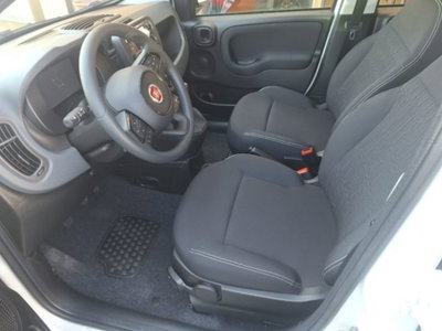 Fiat Pandina 1.0 firefly hybrid Icon s&s 65cv (8)