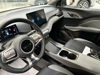 Byd Dolphin Surf 43,2 kWh Boost (10)