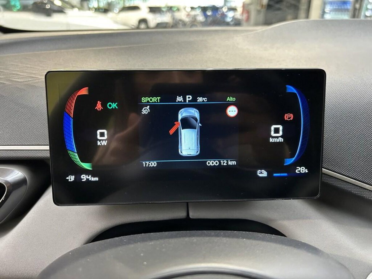 Byd Dolphin Surf 43,2 kWh Boost (11)