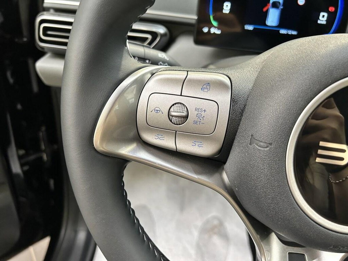 Byd Dolphin Surf 43,2 kWh Boost (13)