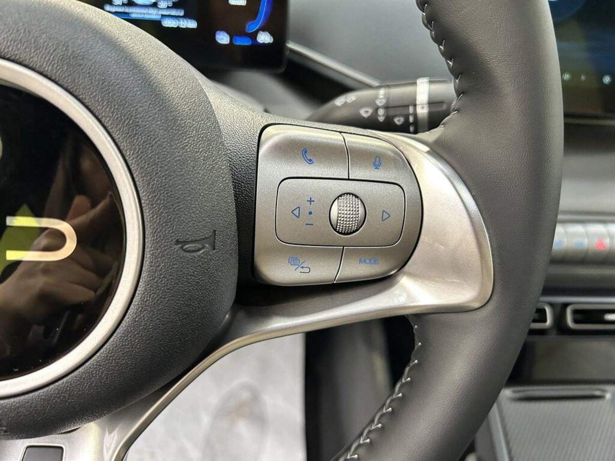 Byd Dolphin Surf 43,2 kWh Boost (14)