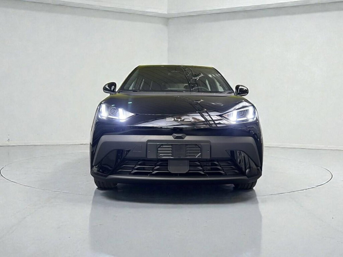 Byd Dolphin Surf 43,2 kWh Boost (2)