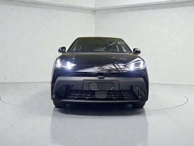 Byd Dolphin Surf 43,2 kWh Boost (2)