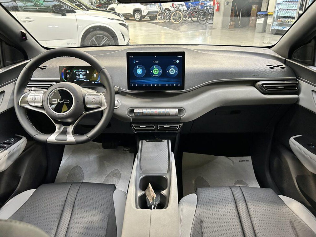 Byd Dolphin Surf 43,2 kWh Boost (9)