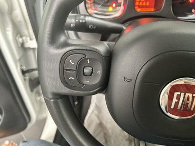 Fiat Panda 1.0 firefly hybrid s&s 70cv 5p.ti (12)