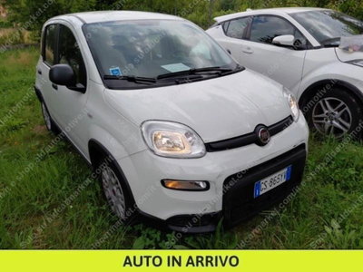 Fiat Panda 1.0 firefly hybrid s&s 70cv 5p.ti (2)