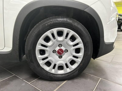 Fiat Panda 1.0 firefly hybrid s&s 70cv 5p.ti (6)