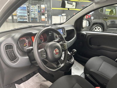 Fiat Panda 1.0 firefly hybrid s&s 70cv 5p.ti (8)