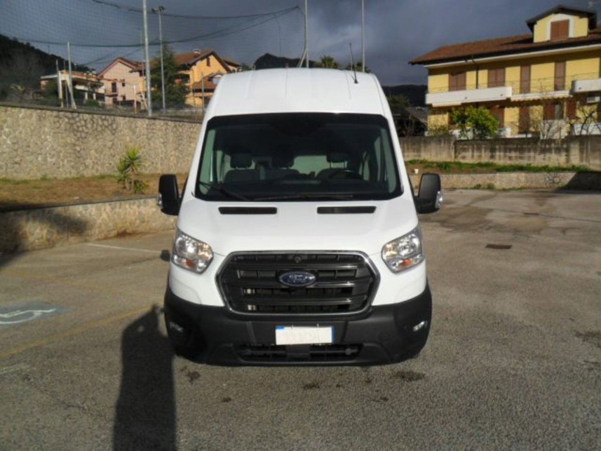 Ford Transit Telaio 350 2.0 EcoBlue 130CV PL-SL 4p.Furgonato Trend (18)
