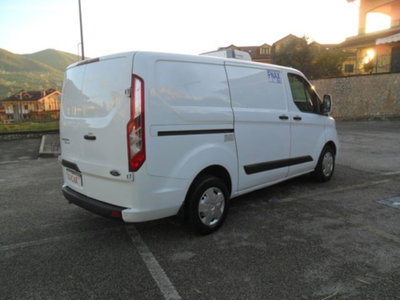 Ford Tourneo Custom 320 2.0 EcoBlue 130CV PC c/sollev. Titanium (6)