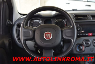 Fiat Panda 1.0 firefly hybrid s&s 70cv 5p.ti (6)