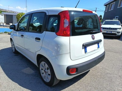 Fiat Panda 1.2 (6)