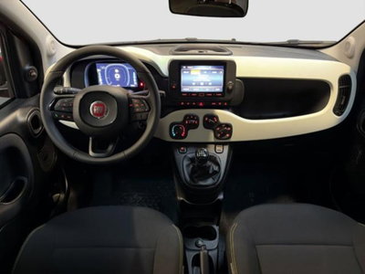 Fiat Panda 1.0 firefly hybrid s&s 70cv 5p.ti (13)