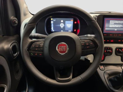 Fiat Panda 1.0 firefly hybrid s&s 70cv 5p.ti (10)