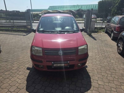 Fiat Panda 1.2 Dynamic usata