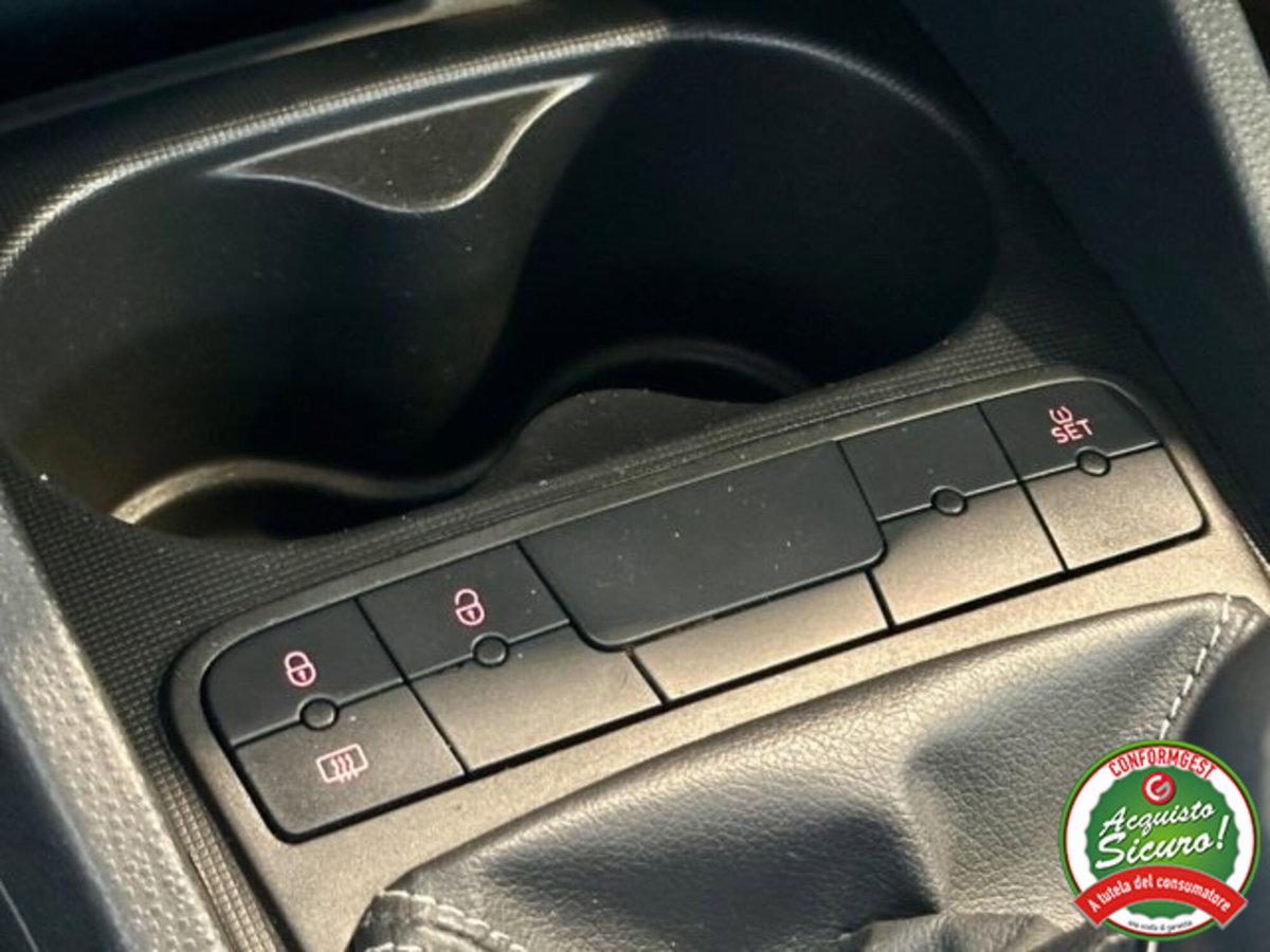 SEAT Ibiza 1.2 70 CV 5 porte Business (11)