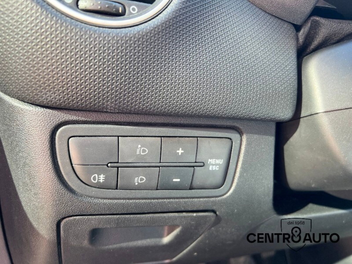 Fiat Punto 1.3 MJT II 75 CV 5 porte Street (18)