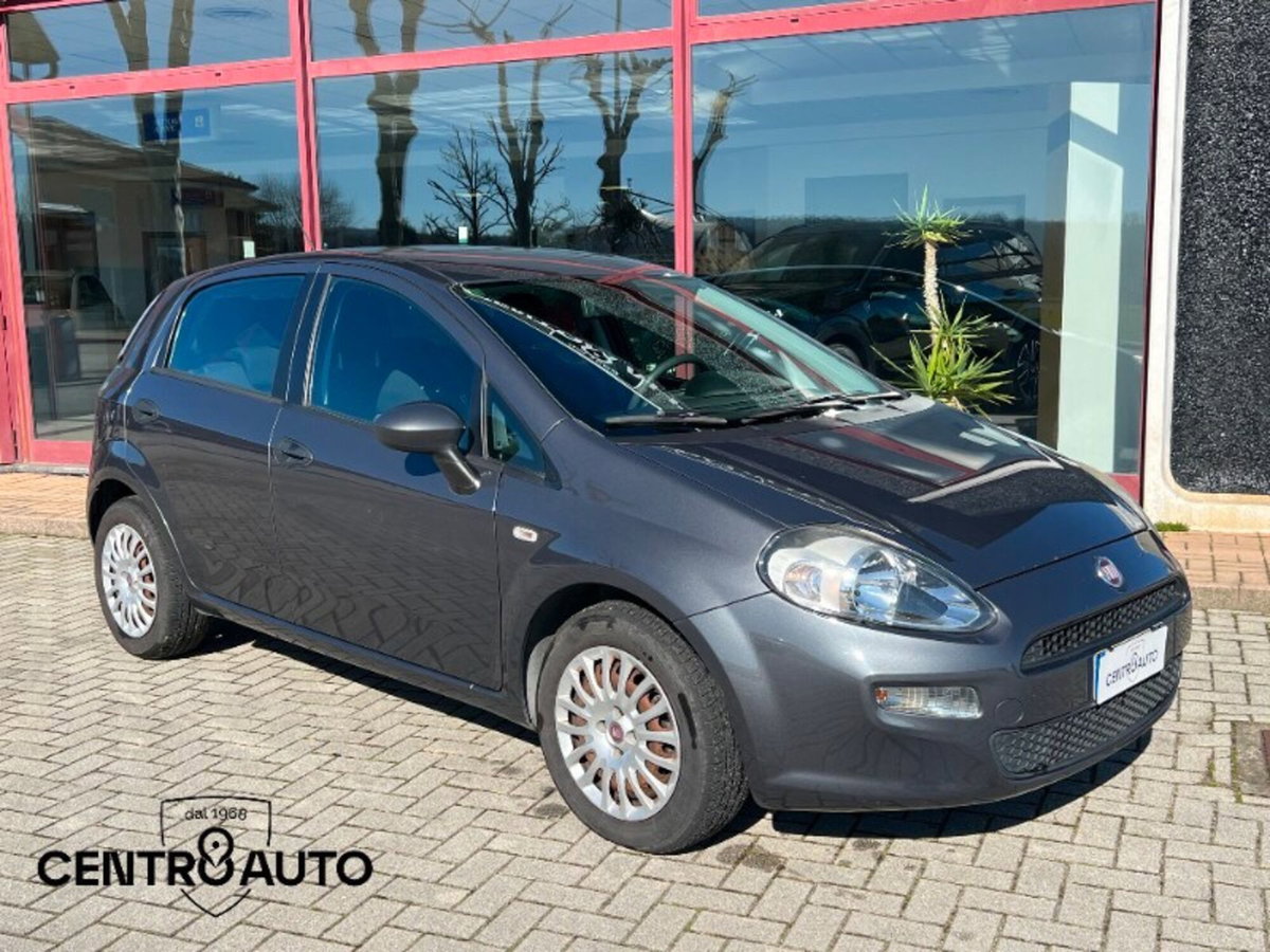 Fiat Punto 1.3 MJT II 75 CV 5 porte Street (2)
