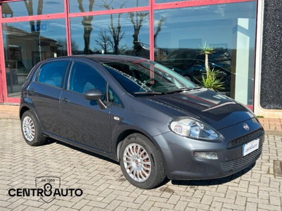 Fiat Punto 1.3 MJT II 75 CV 5 porte Street (2)