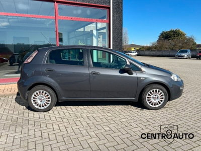 Fiat Punto 1.3 MJT II 75 CV 5 porte Street (3)