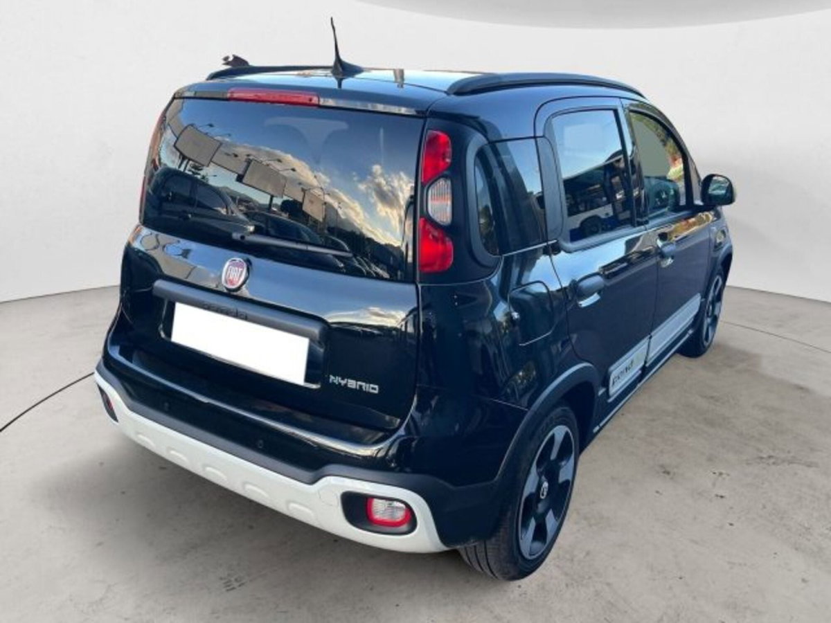 Fiat Panda Cross Cross 1.0 FireFly S&S Hybrid (4)