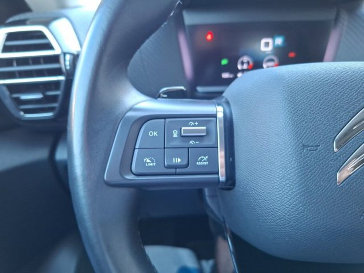 Citroen C4 BlueHDi 130 S&S EAT8 Shine (17)