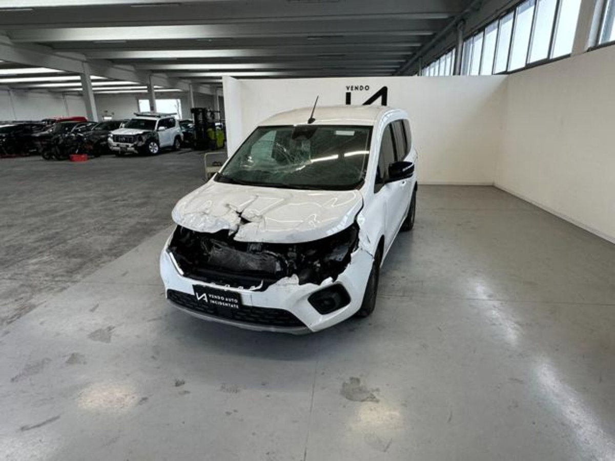 Renault Kangoo 1.5 blue dci Equilibre 95cv edc (3)