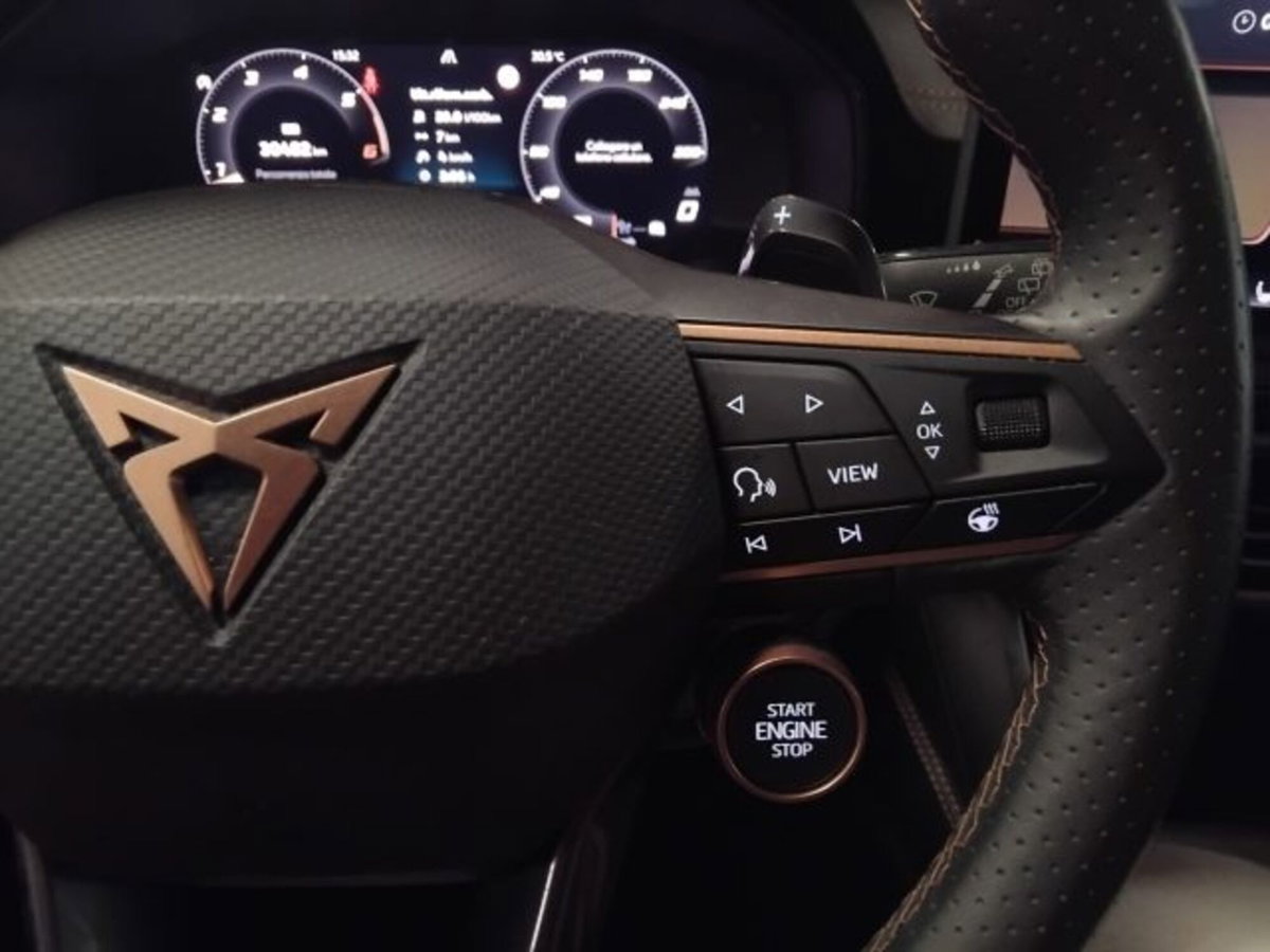Cupra Formentor Formentor 2.0 TDI (13)