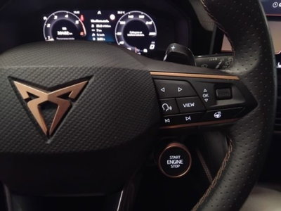 Cupra Formentor Formentor 2.0 TDI (13)