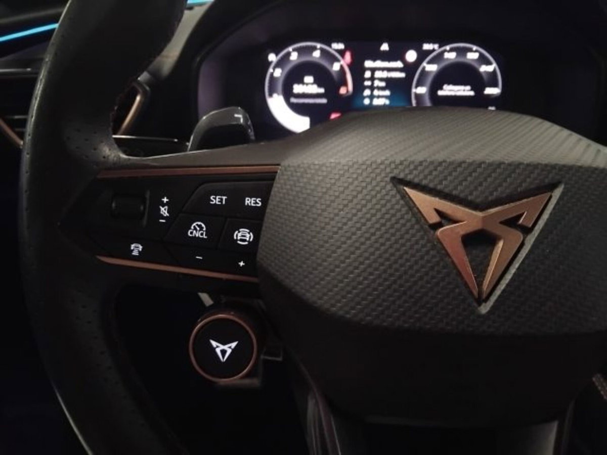 Cupra Formentor Formentor 2.0 TDI (15)