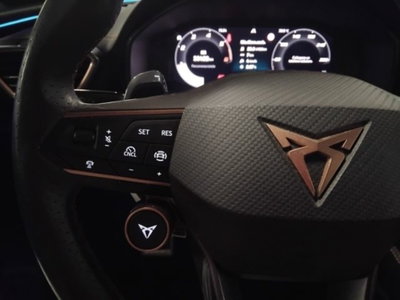 Cupra Formentor Formentor 2.0 TDI (15)