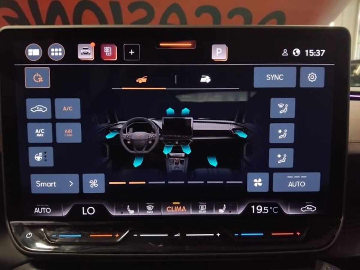 Cupra Formentor Formentor 2.0 TDI (17)